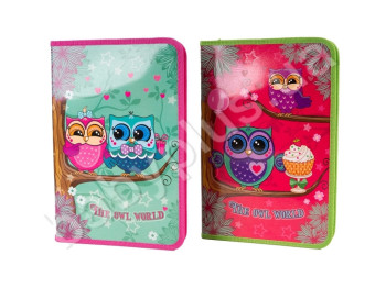 Папка для труда А4 картонная KIDIS, THE OWL WORLD