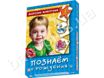 Набір ігор Пізнаємо з народження, Морські тварини, Ранок
