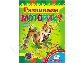 Дитяча книжка-картонка Розвивайка, Розвиваємо моторику, Пегас