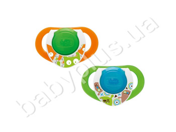 Пустышка Physio Compact силикон от 12 мес, (цена за упаковку 2шт,), Chicco