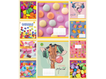 Зошит 48 аркушів, Клітка Ароматна BUBBLE GUM, Тетрада ТЕ13416