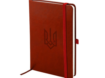 Книга записна у клітинку Герб Partner Lux A5-. 96 аркушів. Axent 8202-05-5-A