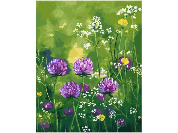 Набор для росписи по номерам Нежность цветов 40х50 см, Strateg