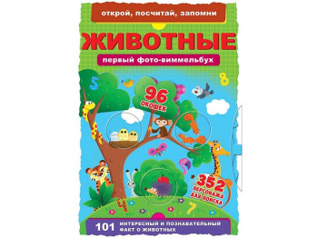 Книга-картонка Перший фото-віммельбух, Тварини, Відкрий, порахуй, запам'ятай, Crystal Book