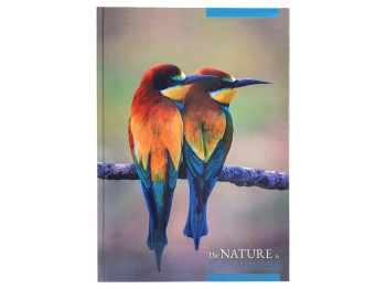 Книга канцелярська Престиж Яскраві пташки А4, 96 аркушів клітина, Аркуш 1В2774