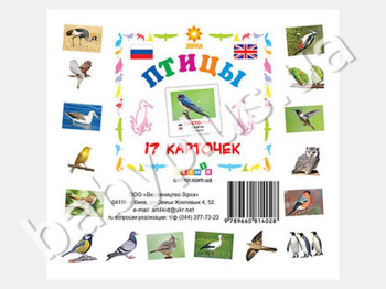 Карточки мини Птицы (рус) (110х110 мм)