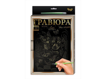 Гравюра A4 с рамкой, Danko Toys