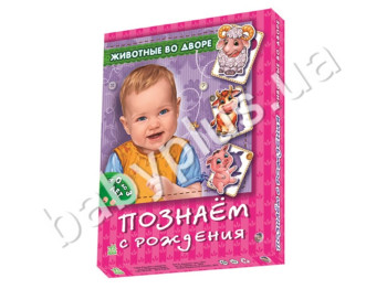 Набор игр Познаем с рождения, Животные во дворе, Ранок