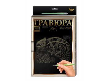 Гравюра A4 с рамкой, Danko Toys