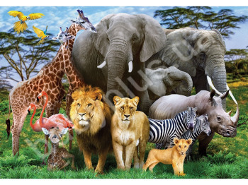 Пазли картонні 1000 елементів серія 10 ANIMAL PLANET, Danko Toys