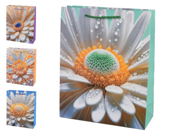 Пакет подарунковий паперовий  Camomile R40793-M, 26х32х10см, мікс видів