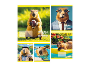 Зошит у клітинку з твердою обкладинкою CAPYBARA, 24 аркуші, 6 дизайнів (ціна за 1шт)