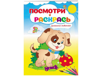 Посмотри и раскрась, Домашние животные, Пегас