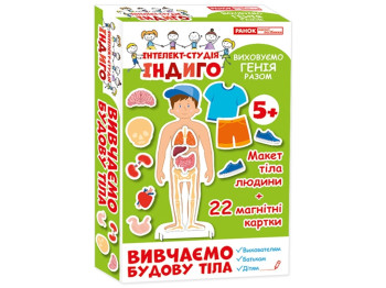 Индиго, Изучаем строение тела