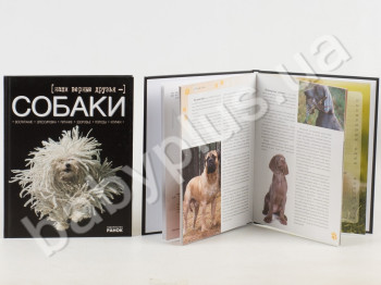 Детская книга Моё хобби, Наши верные друзья - собаки, Ранок