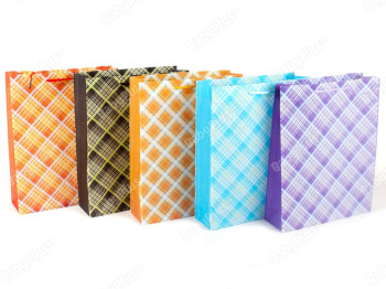 Пакет подарунковий PP Colour 34x26.5x8см