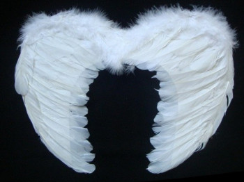 Крылья ангела с пухом 60x40 см.