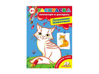 Розмальовка Перші розмальовки малюка, Домашні тварини, Пегас