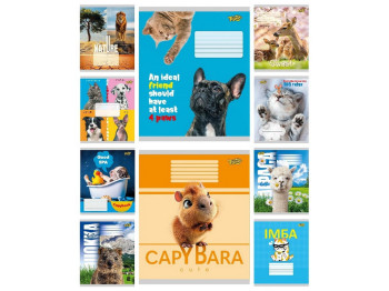 Набір зошитів у лінію Тетрада Pets ТА62111, 12 аркушів, 25шт