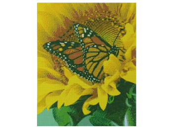 Алмазна картина Метелик на соняшнику 40х50 см. Strateg D0067