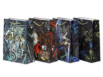 Пакет подарунковий картонний Boys Q3021S, 18×23×10 см, з фольгою, мікс видів (ціна за 1шт)