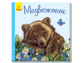 Милые зверьки, Медвежонок, Ранок