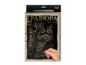 Гравюра A4 с рамкой, Danko Toys