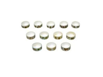 Лента декоративная Washi Капибара, 1,5 см × 2 м, микс цветов (цена за 1шт)