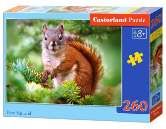 Пазли Соснова білка, 260 елементів, Castorland