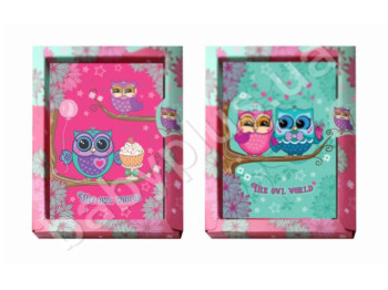 Блокнот А6 с глиттером THE OWL WORLD, KIDIS 6043