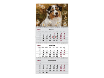 Календарь настенный квартальный Axent Dogs 1 2026, 3 пружины, 297×630 мм