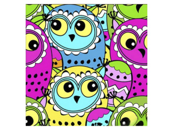 Алмазная картина Разноцветные совы 30х30 см, Strateg
