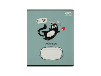 Зошит учнівський загальний CRAZY CAT, 48арк., клітинка, фізика, конгревн. тисн. + УФ лак вибір. KID,