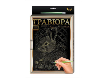 Гравюра A4 с рамкой, Danko Toys