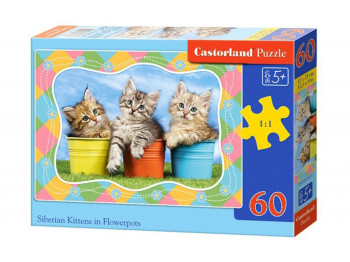 Пазли Три кошеня, 60 елементів, Castorland
