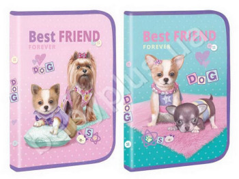 Папка для труда А4 KIDIS, BEST FRIEND, 13666