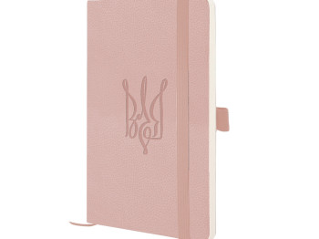 Книга записная в клетку Воля Partner Soft Skin A5-. 96 листов. Axent 8616-24-3-A