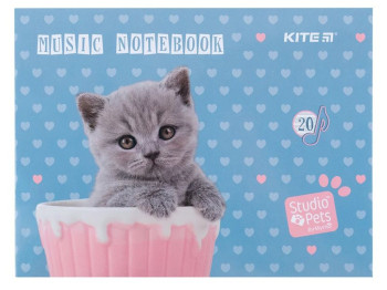 Тетрадь для нот SP А5, 20 листов, Kite