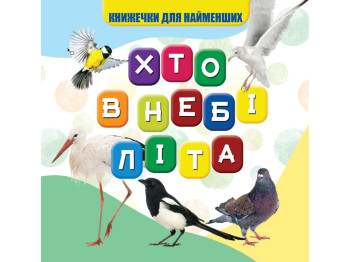 Моя первая книга Кто в небе летает. Jumbi VR06041708