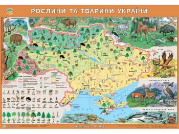 Карта Украины Растения и животные Украины 65х45 см, картонная, география и биология
