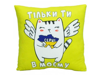 Подушка с принтом №2, Поздравительная 2, Размер 32x32x10см, Копиця
