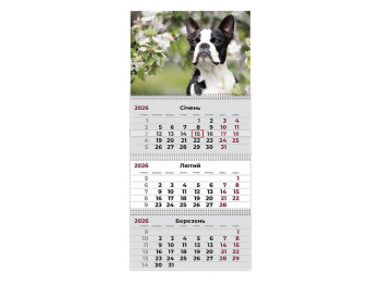 Календарь настенный квартальный Axent Dogs 2 2026, 3 пружины, 297×630 мм