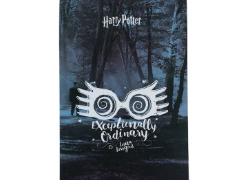 Блокнот-планшет в клетку A5. 50 листов. Harry Potter. Kite HP23-194-1