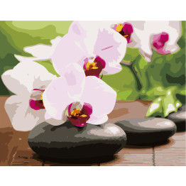 Набор для росписи по номерам Орхидеи на камнях 40х50 см. Strateg VA-2661