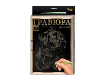 Гравюра A4 с рамкой, Danko Toys