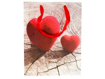 Пакет подарочный бумажный Hearts 18*23см