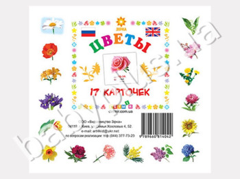 Карточки мини Цветы (рус) (110х110 мм)