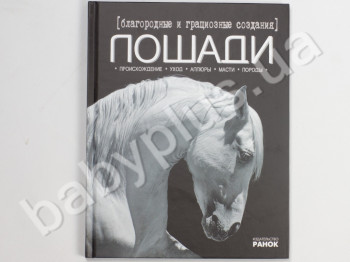 Детская книга Моё хобби, Благородные и грациозные создания - лошади, Ранок