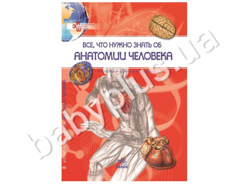 Детская книга энциклопедия школьника Все, что нужно знать о анатомии человека, Кенгуру
