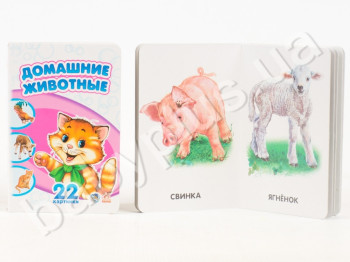 Дитяча книга Домашні тварини, 22 картинки, Ранок